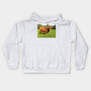 Scottish Highland Cattle Calf 2003 Kids Hoodie